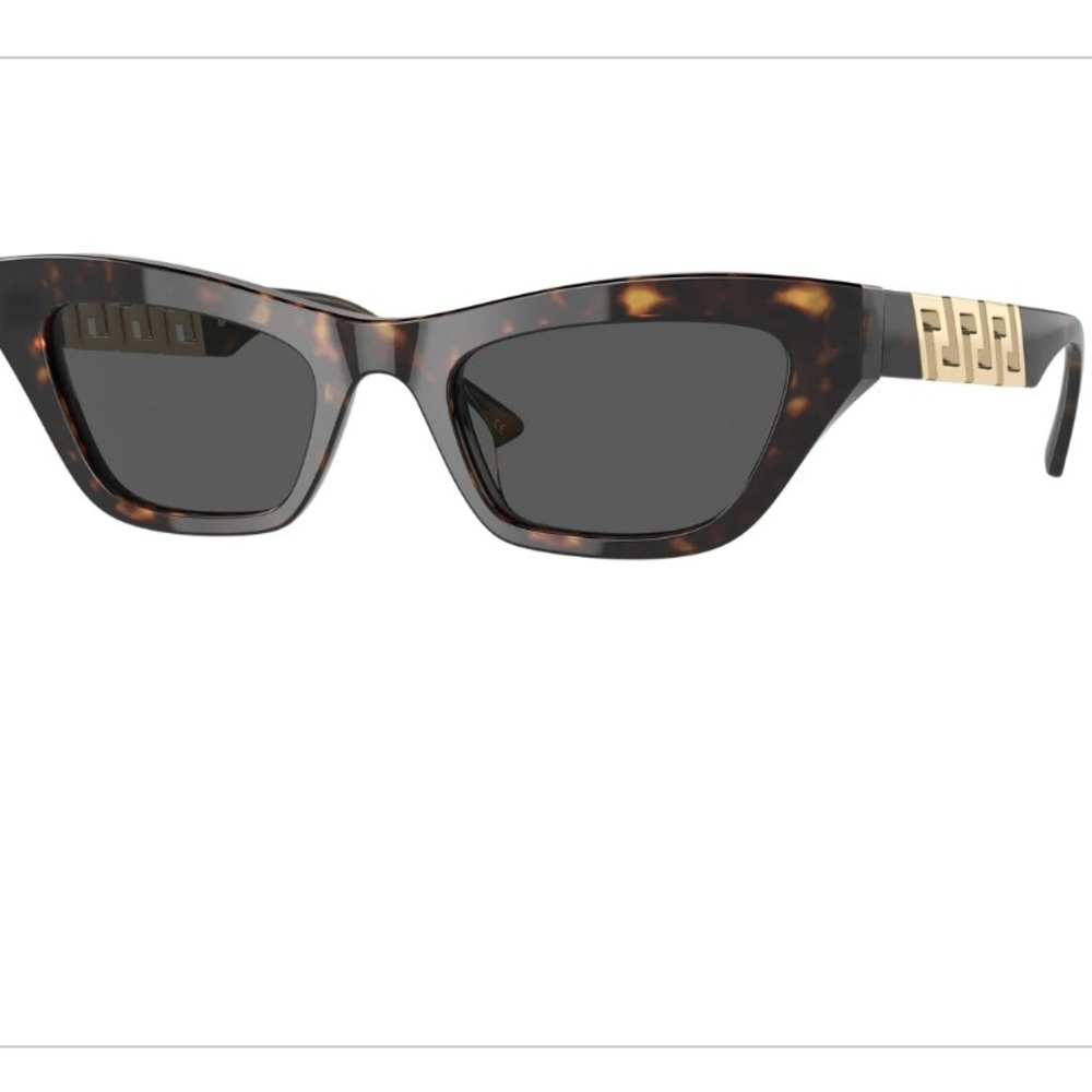 Coach Tortoise Sunglasses HOLD